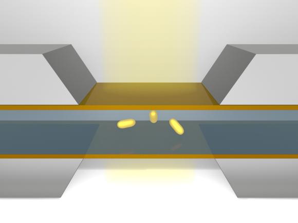 Schematic showing nanoparticles in the microfluidic chamber of liquid-phase transmission electron microscopy
